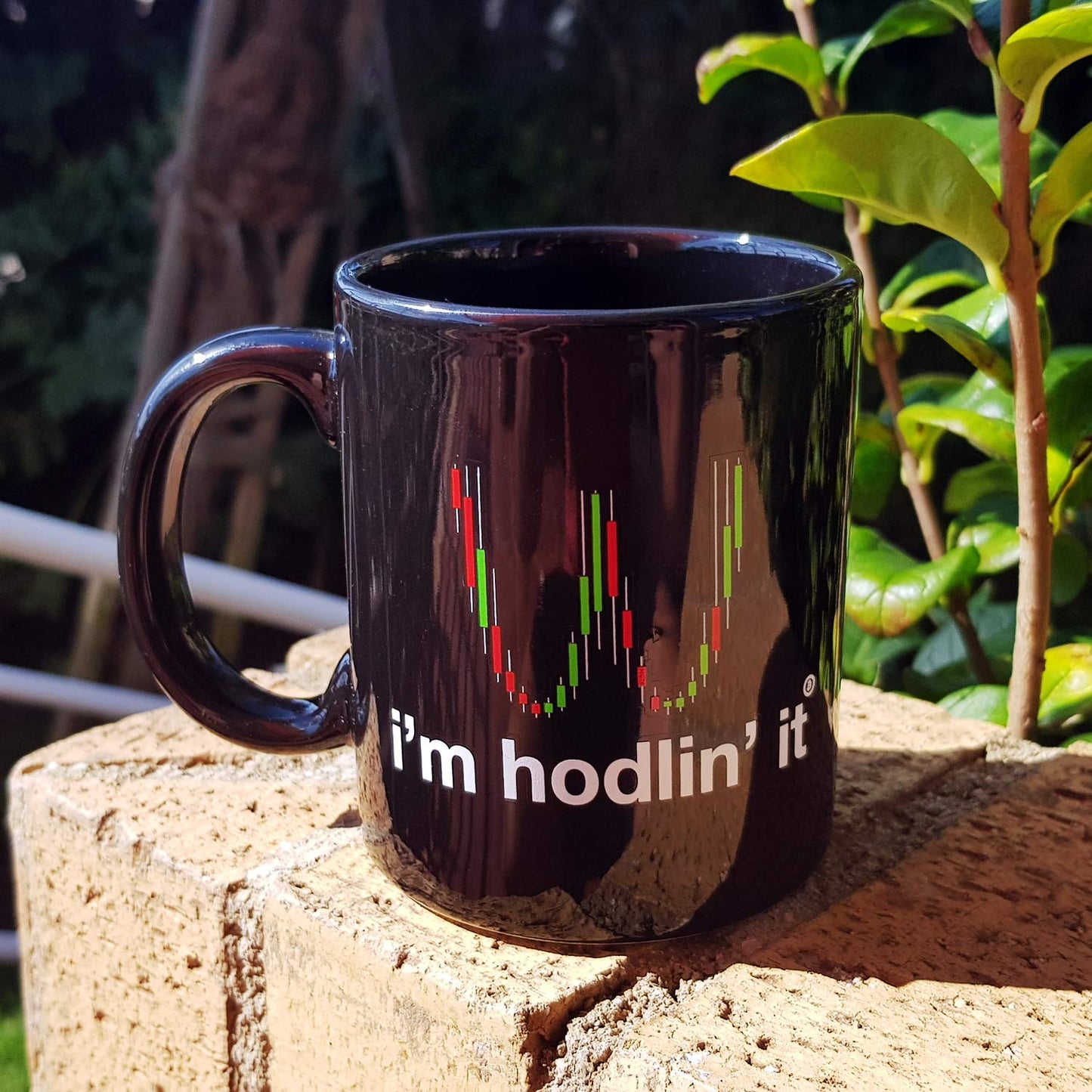 Taza I'm Hodlin' It para amantes de las Criptomonedas y el Blockchain. Taza de desayuno 33 cl. Cerámica negra. Para seguidores Bitcoin, Neo, Ether, Ripple